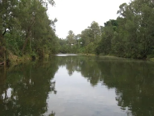 A calm, narrow river reflects the surrounding dense green trees and a grey sky.