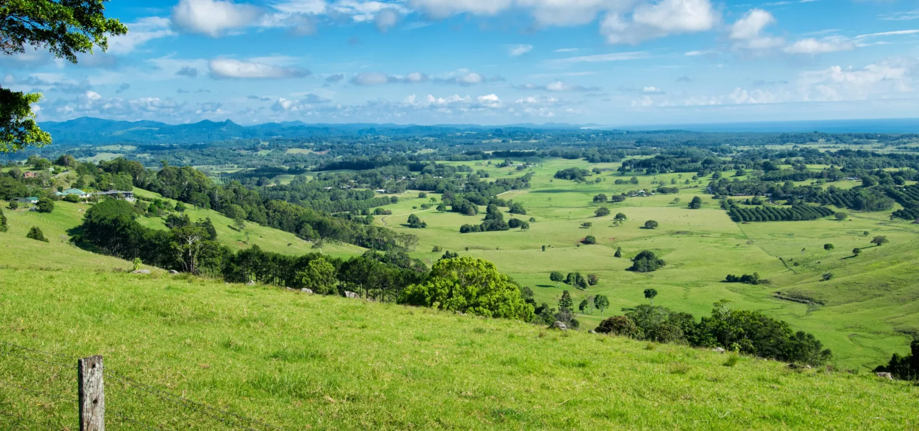 A grassy hill featuring a large tree and wooden fence posts in the foreground