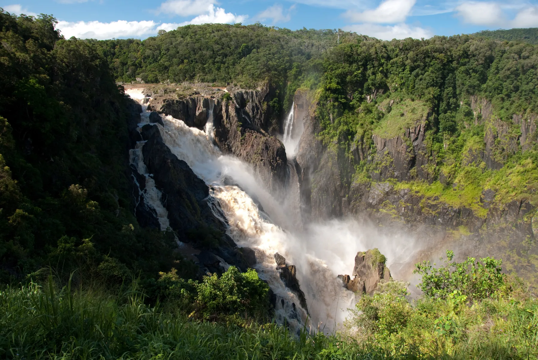 Web Design Cairns 3