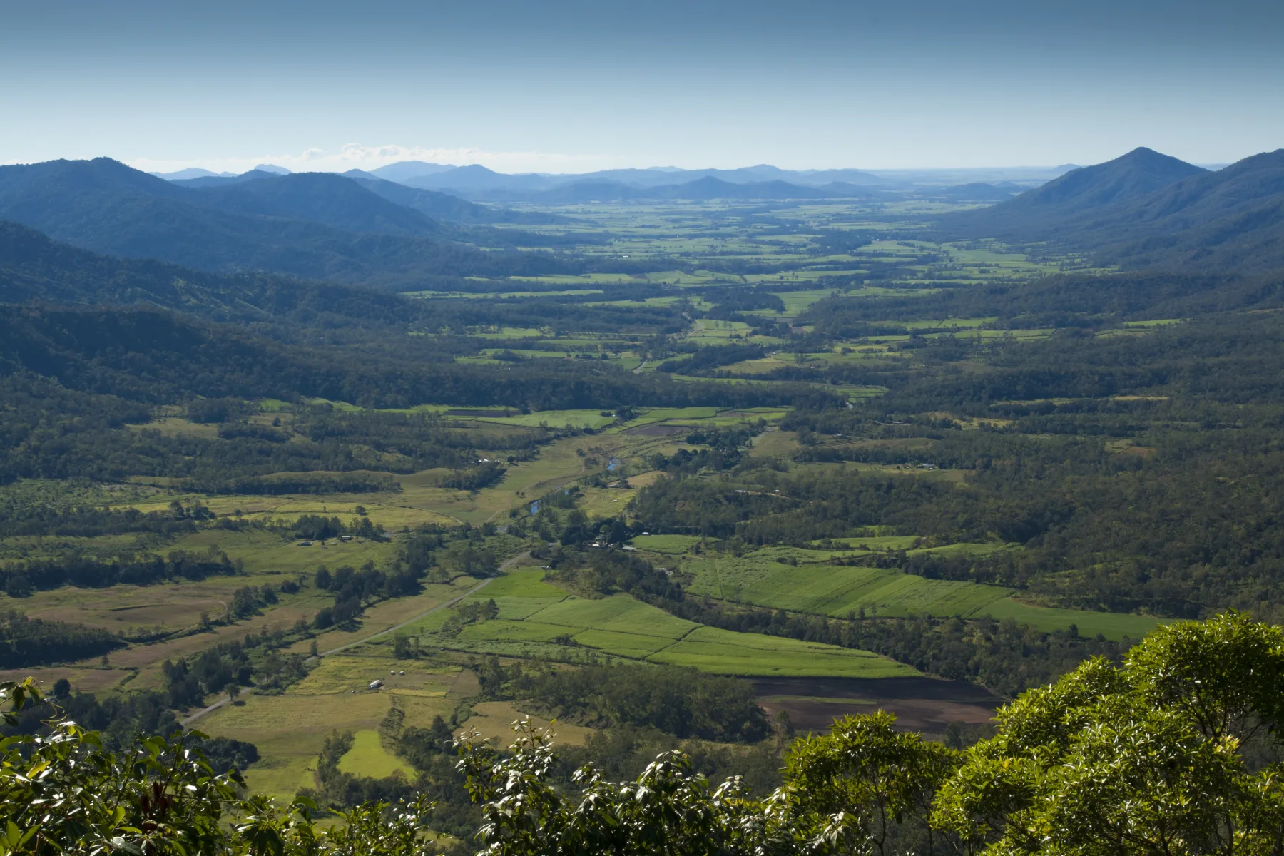 Web Design Mackay 5