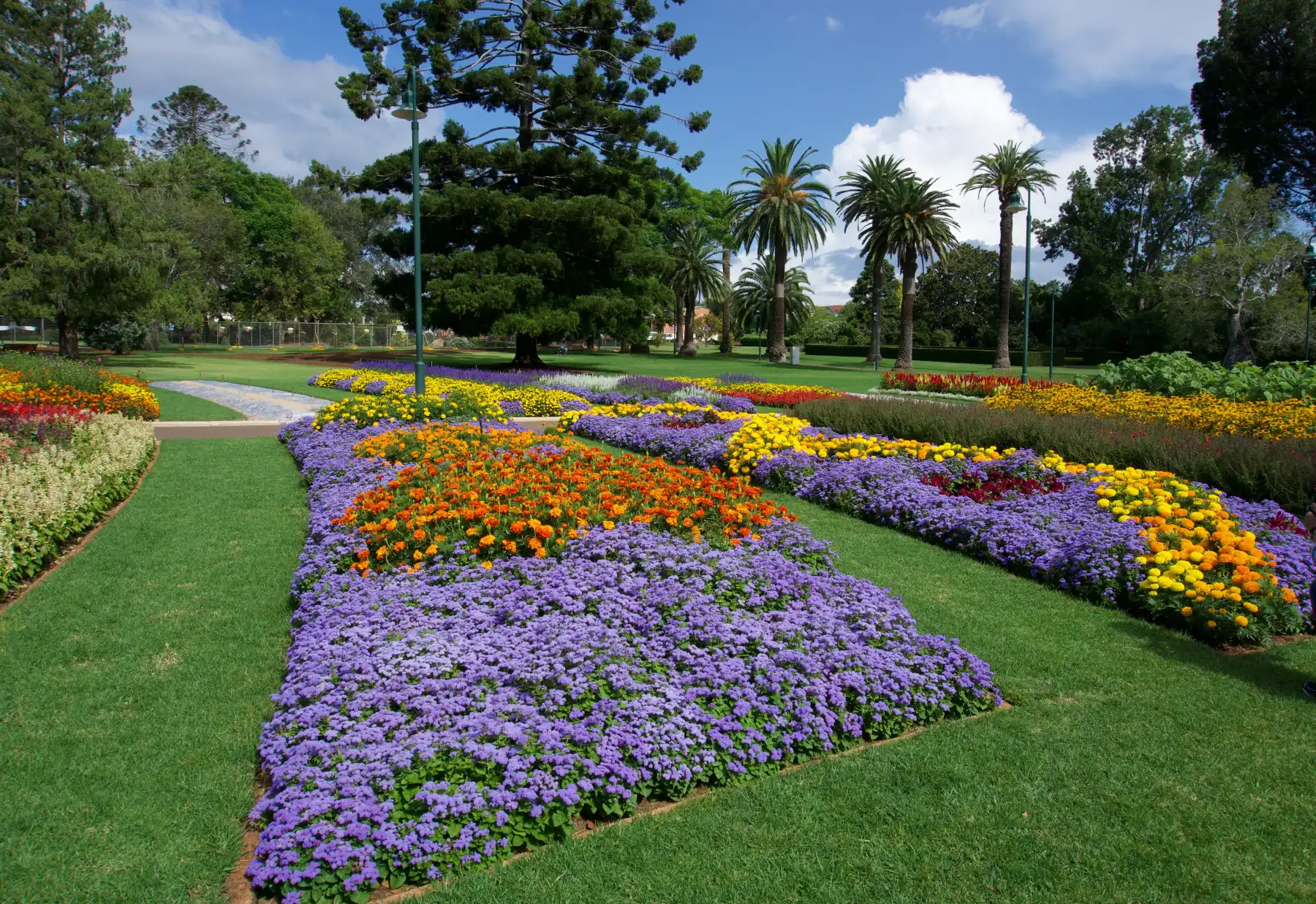Web Design Toowoomba 3
