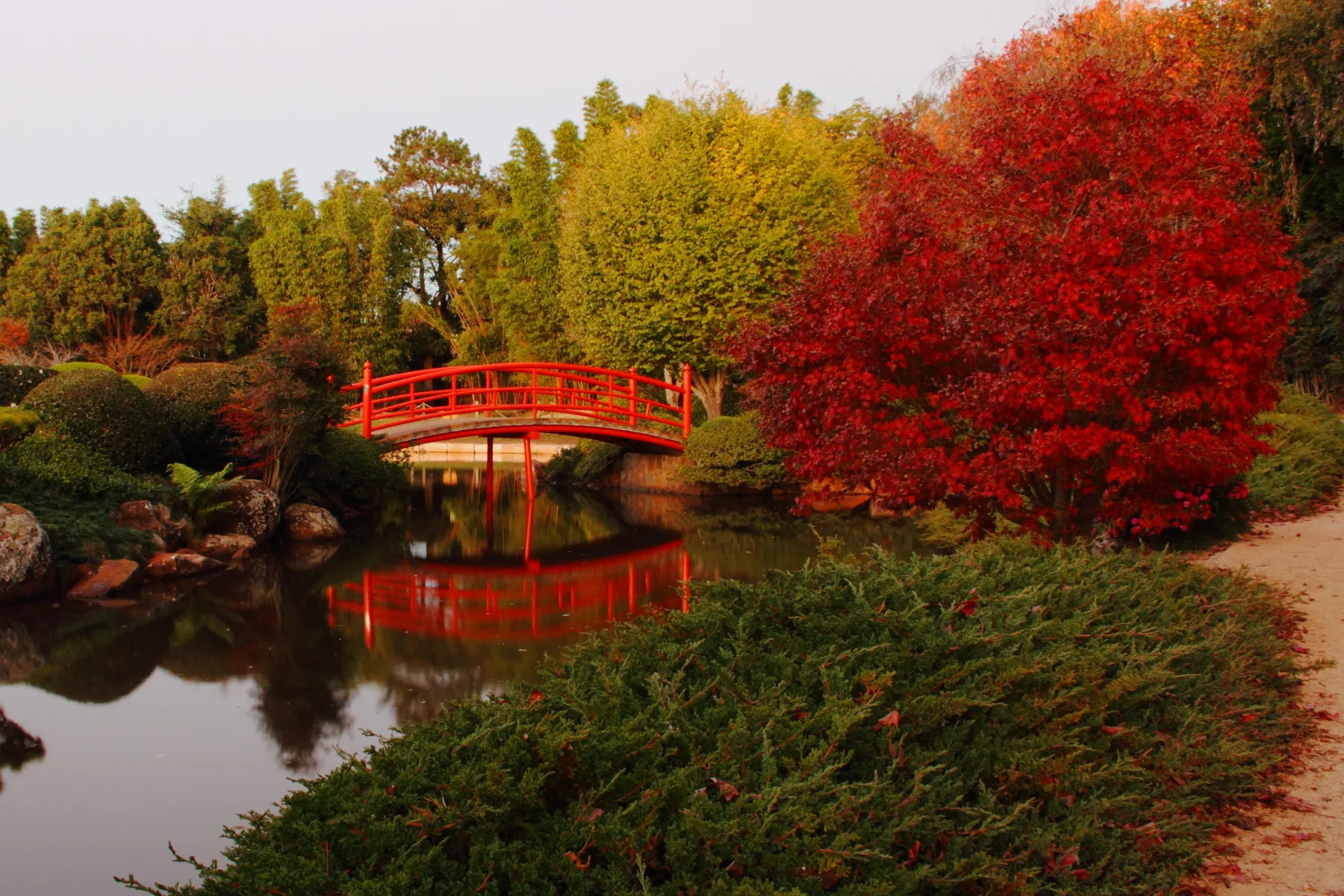 Web Design Toowoomba 4