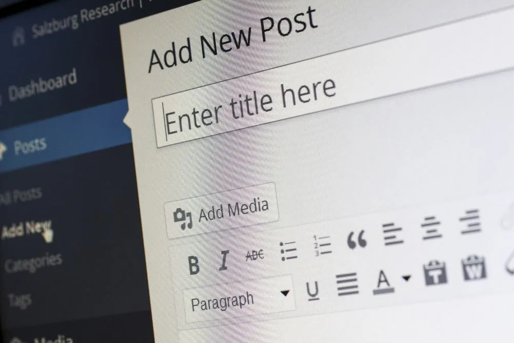 An extreme close-up of a computer screen shows the WordPress "Add New Post" interface.