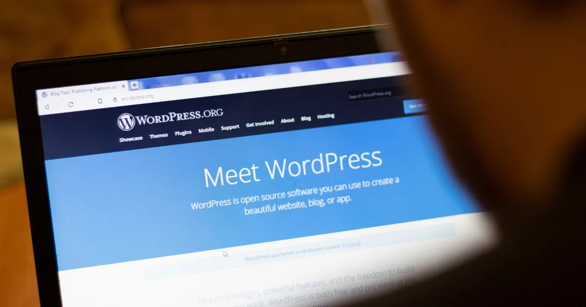 We build professional websites using WordPress We build professional websites using WordPress