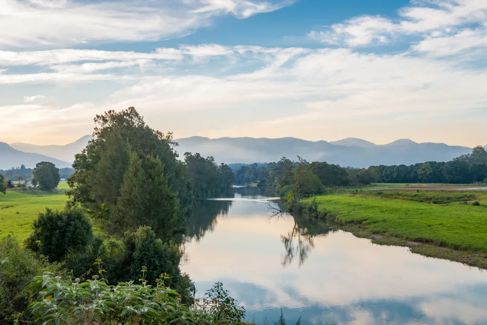 Right web design company for your Bellingen business