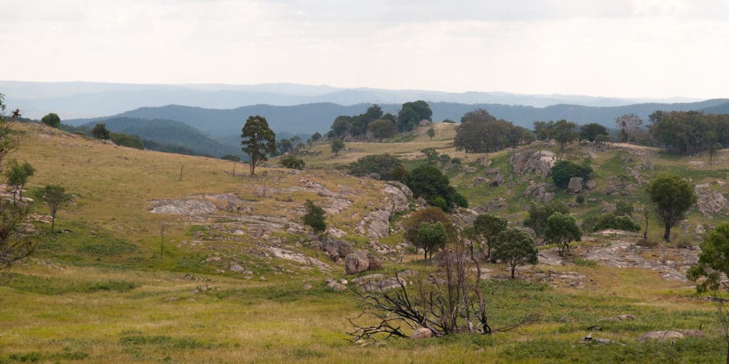A panoramic view of a vast, rocky landscape with rolling grassy hills and scattered trees under an overcast sky, with blue mountains in the distance.